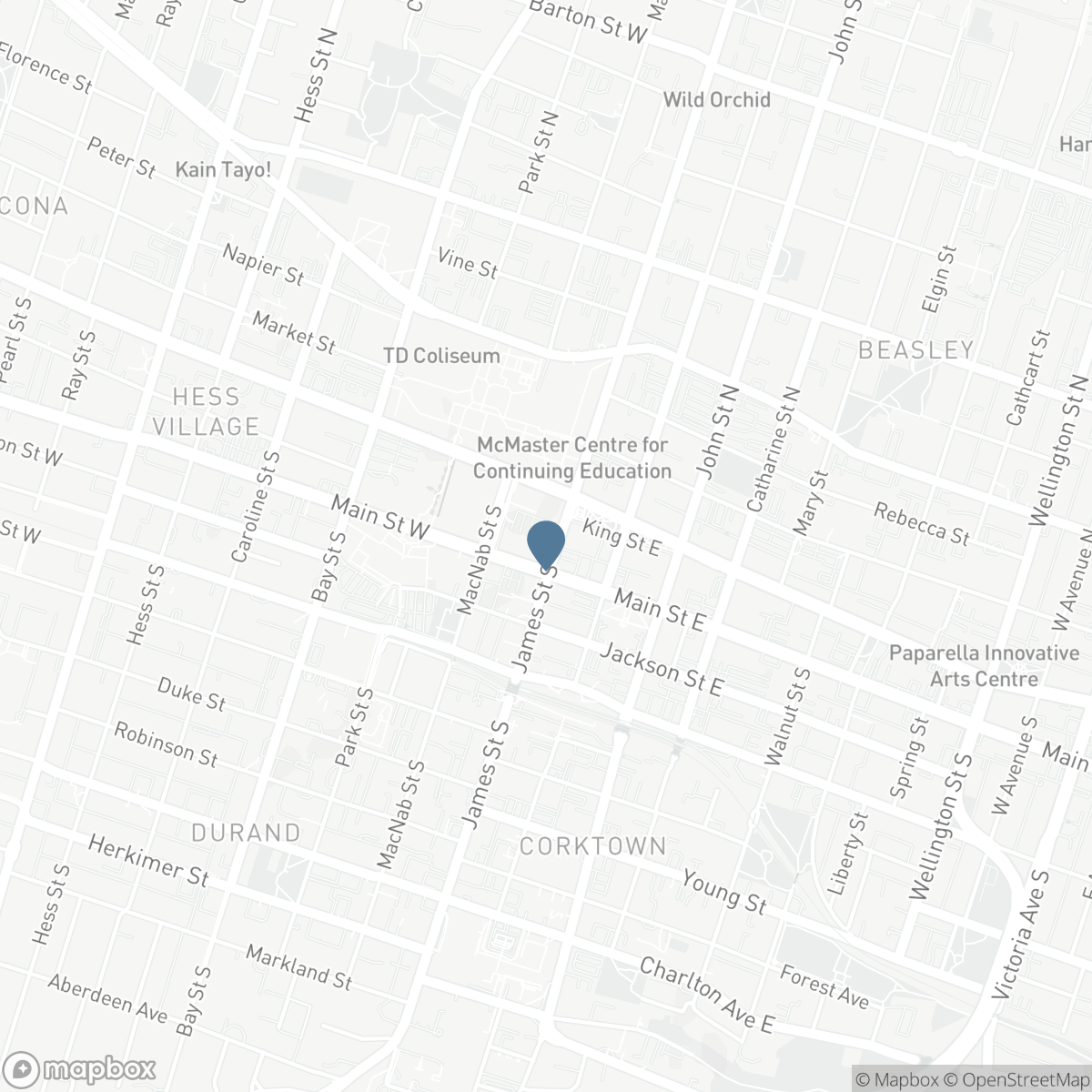 36 JAMES Street S Unit# 303, Hamilton, Ontario L8P 4W4